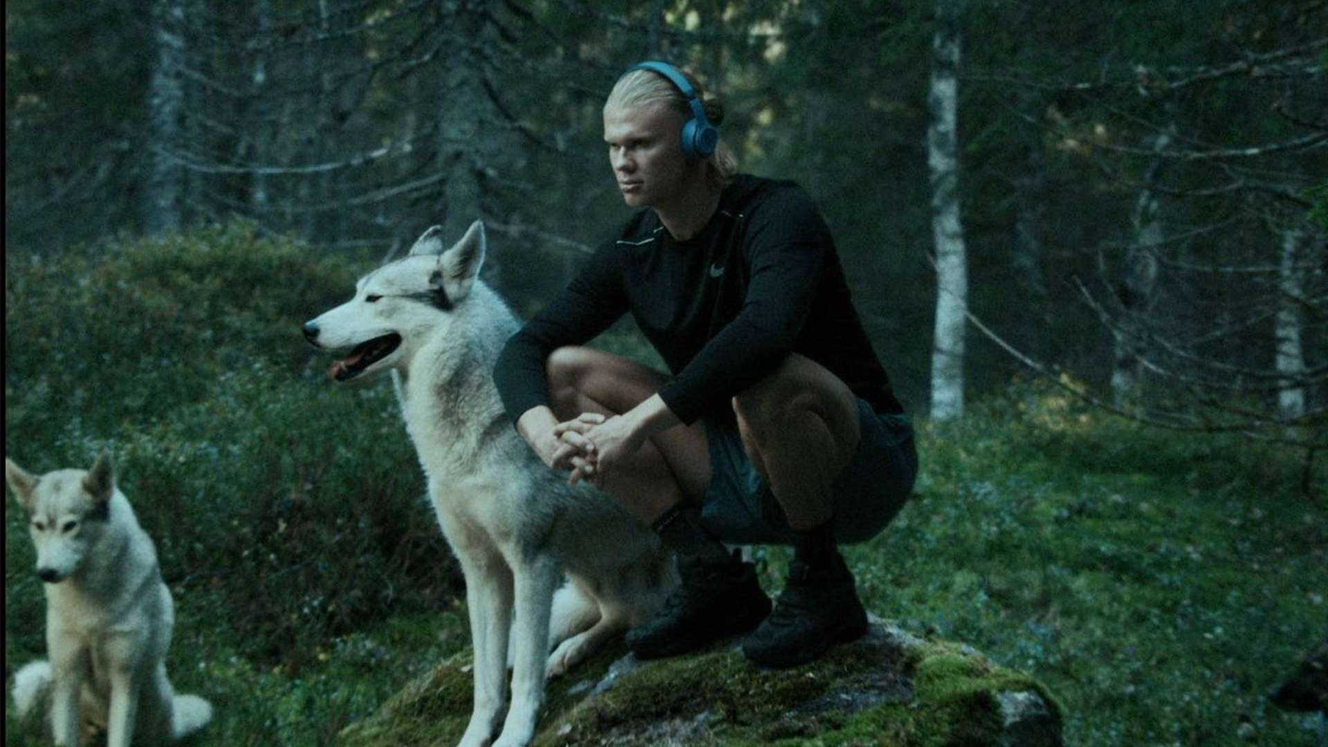 但也需要对 但也需要对