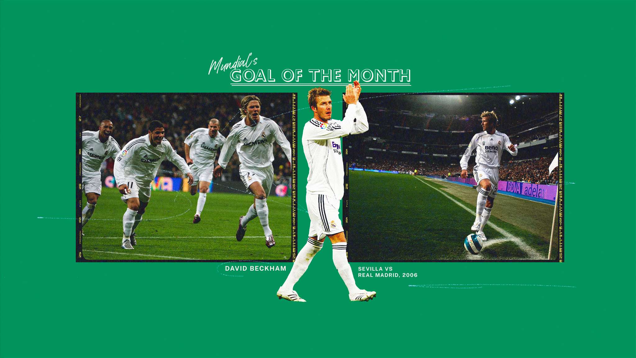 在赛场上绽 在赛场上绽